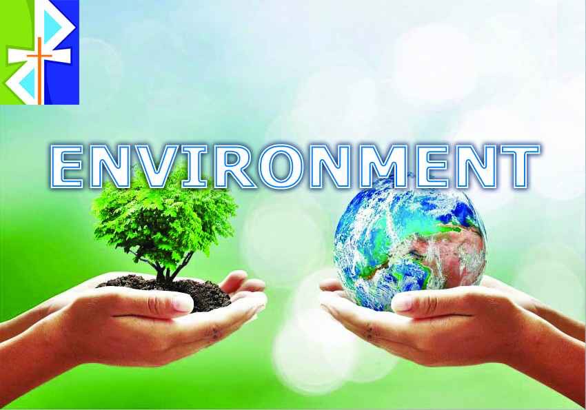 Environment