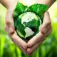 Cho trái đất thêm xanh – Số 14: Mùa Chay sinh thái - 5 cách CHAY TỊNH bảo vệ hành tinh