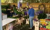 Từ Hà Lan đến Vatican: Mùa xuân đến trên đền thờ thánh Phêrô