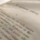 Rerum Novarum, Nguồn gốc và Sự thành công của một Thông điệp