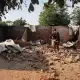 Những người sống sót sau vụ thảm sát của Hồi giáo Fulani đang kinh hoàng và thiếu thốn mọi thứ