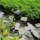 Báo động tình trạng ô nhiễm nước ở nông thôn Việt Nam hiện nay