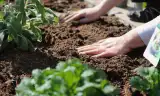 The Beauty of Soil Part I